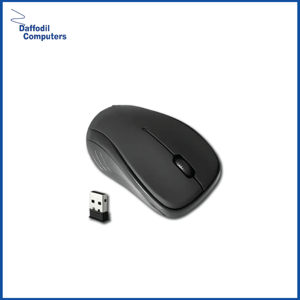 HP W10 WIRELESS & BLUETOOTH MOUSE
