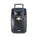 TEMEISHENG SL12-01 PORTABLE SPEAKER WITH 2PCS Wireless Hand Mic
